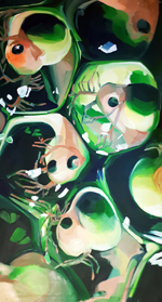 redeyedtreefrogeggs2